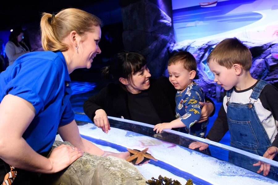 London: SEA LIFE & London Eye Combo Ticket - Rainforest Adventure and close-up animal encounters