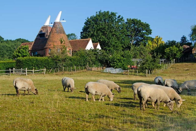 London: Small Group Canterbury, Dover & Kent Villages Tour - Two hours at Dover Castle