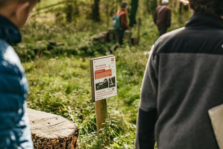 London: South Downs White Cliffs Day Trip with Train Tickets - Why this is one of the better London day trips