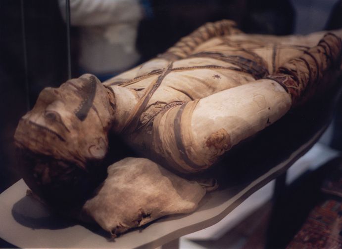 London: Tour of the British Museum - Is $14 good value?