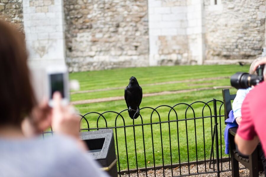 London: Tower of London Tour with Crown Jewels & Beefeaters - Meeting at the Tower Place West gift shop