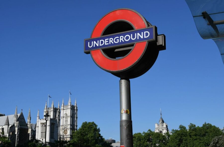 London: Westminster Walking Tour & The Tower of London Entry - Green Park and Buckingham Palace
