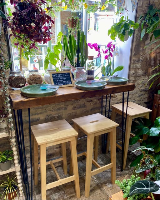 Make Your Own Terrarium in a houseplant paradise - Key points to know before you book