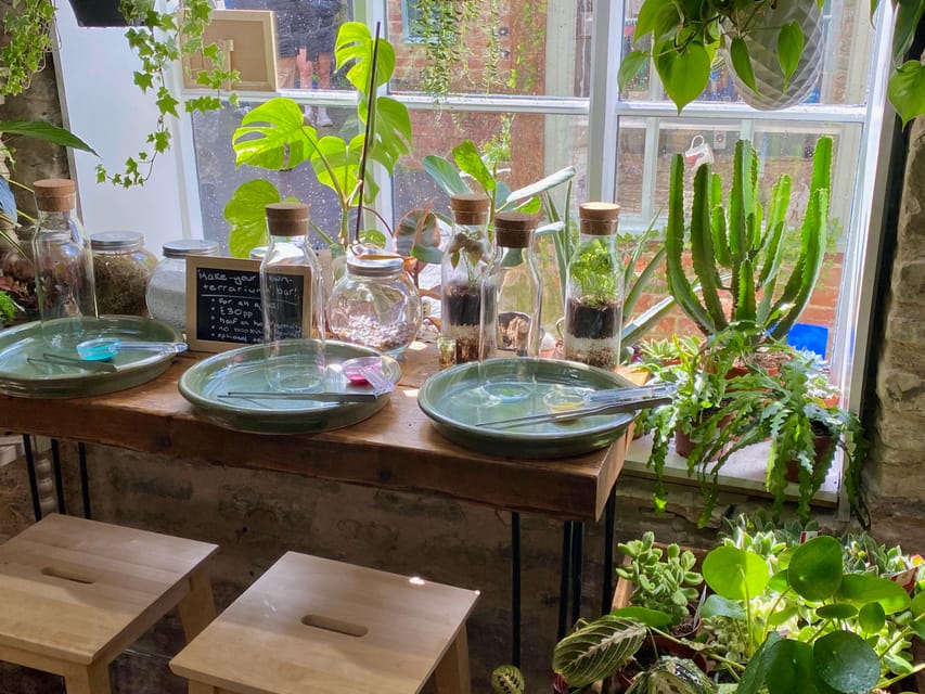 Make Your Own Terrarium in a houseplant paradise - What happens during the 30-minute session