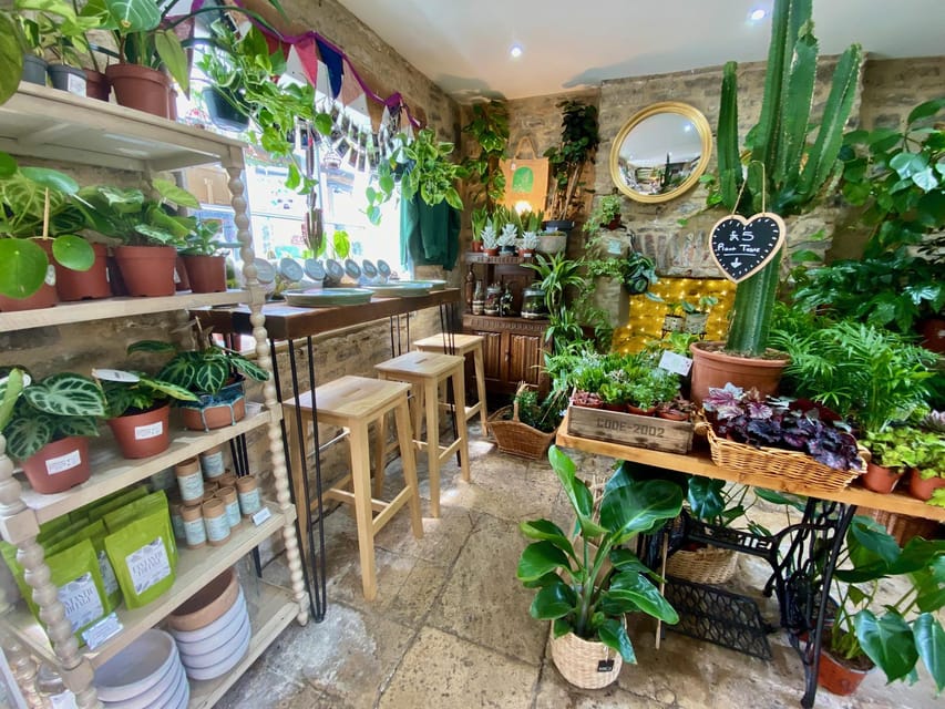 Make Your Own Terrarium in a houseplant paradise - Choosing the plant and decorating your jar