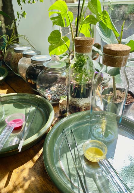 Make Your Own Terrarium in a houseplant paradise - A strong little souvenir from a short stop