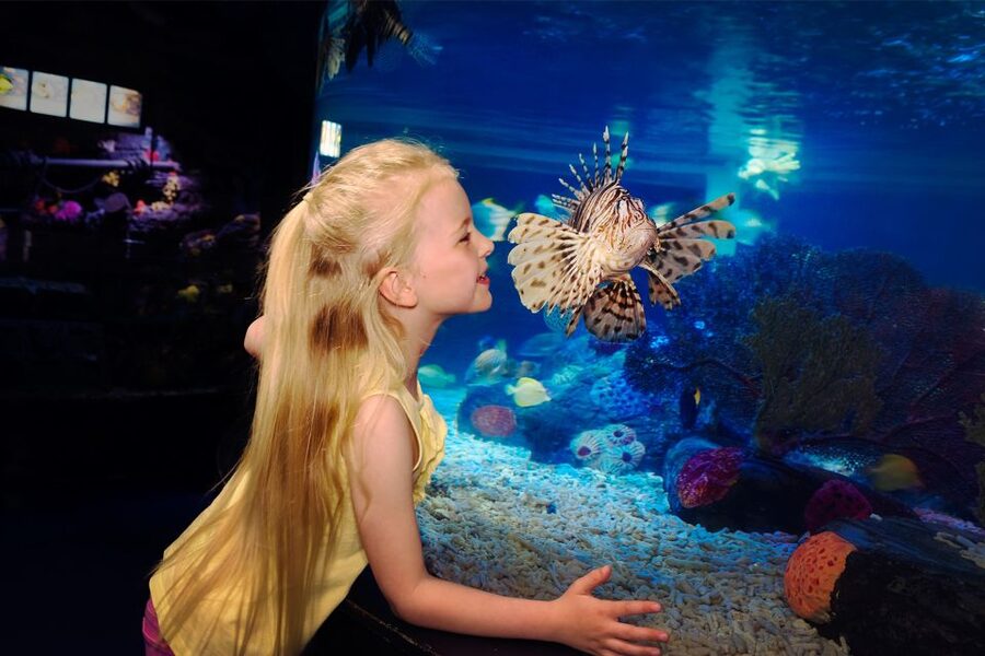 Manchester: SEA LIFE Entrance Ticket - Moving through the other themed zones