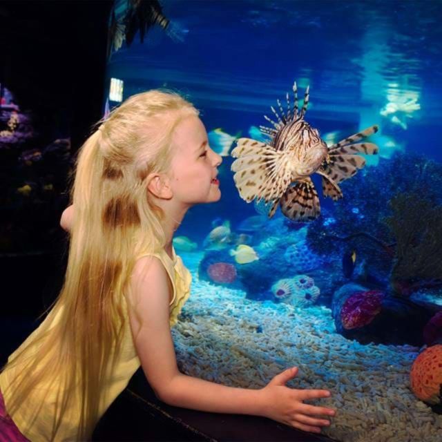 Manchester: Visit Manchester Pass with Entry Tickets & Tours - Chester Zoo, SEA LIFE, and LEGOLAND