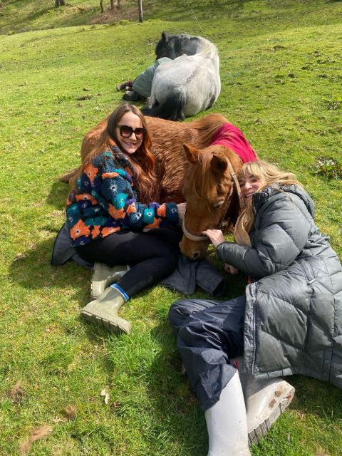 Meditate With Horses - Key points before you book