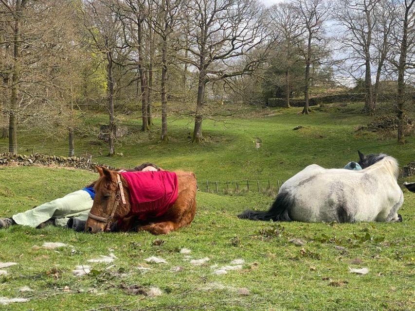 Meditate With Horses - Practical planning for a calm day outdoors