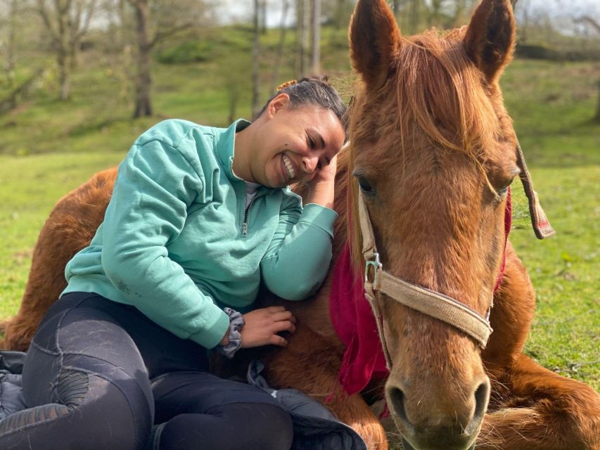 Meditate With Horses - Arriving at Holmeshead Farm near Ambleside