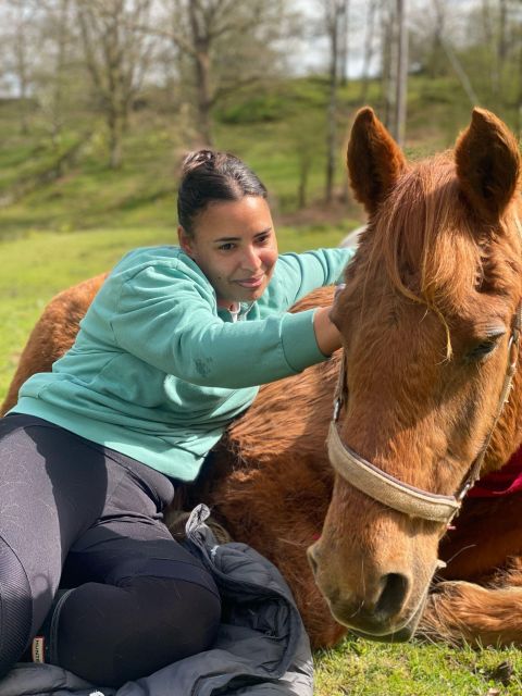 Meditate With Horses - Grooming, breathing, and learning horse body language