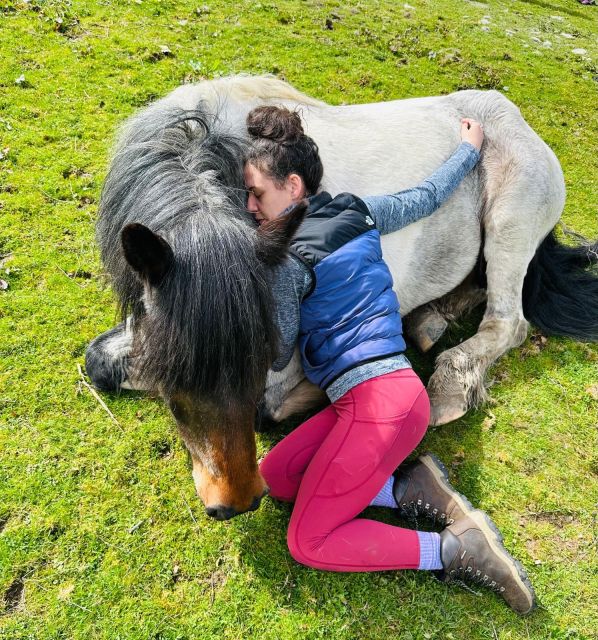 Meditate With Horses - The one-hour break and the value of a slow schedule