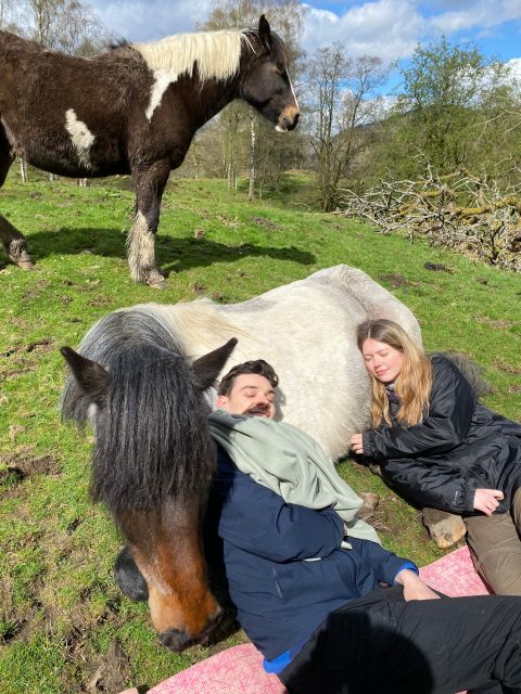 Meditate With Horses - The second workshop and lying down with horses