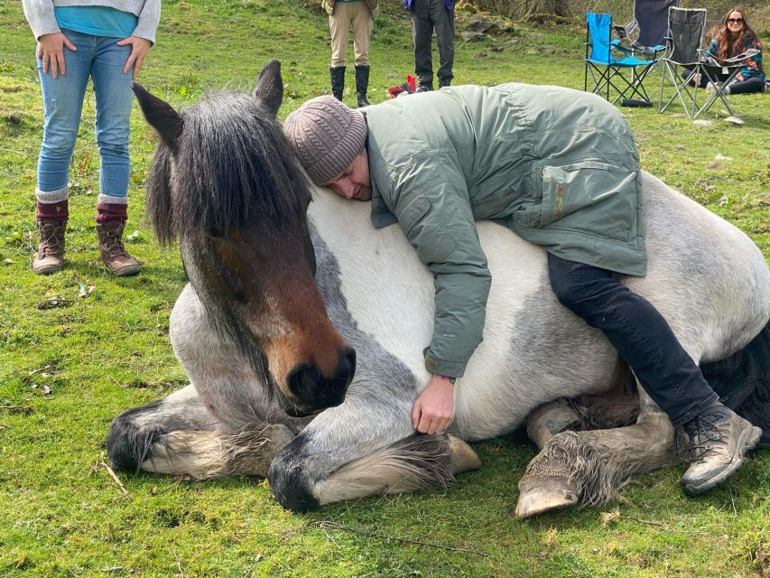 Meditate With Horses - What the $114 price really covers