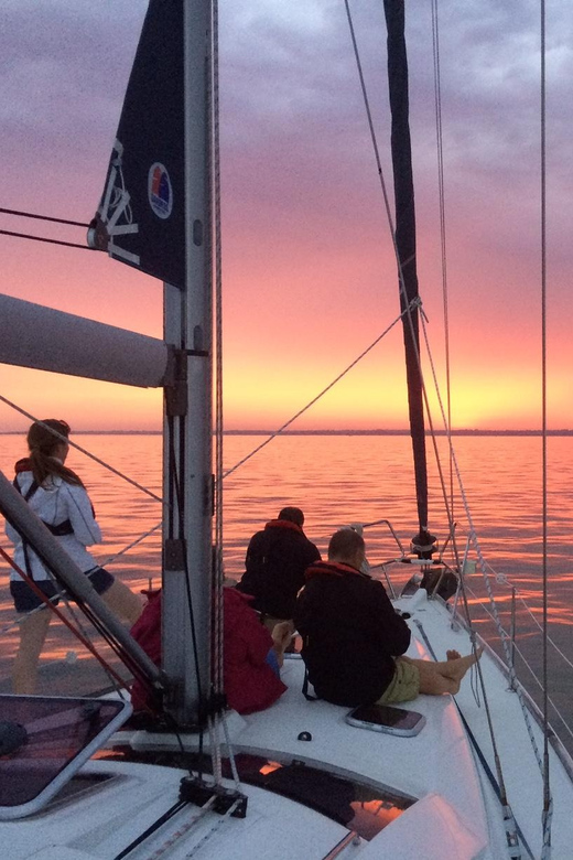 New Forest: Sail with Lunch or Dinner from Lymington - Starting at Lymington Yacht Haven