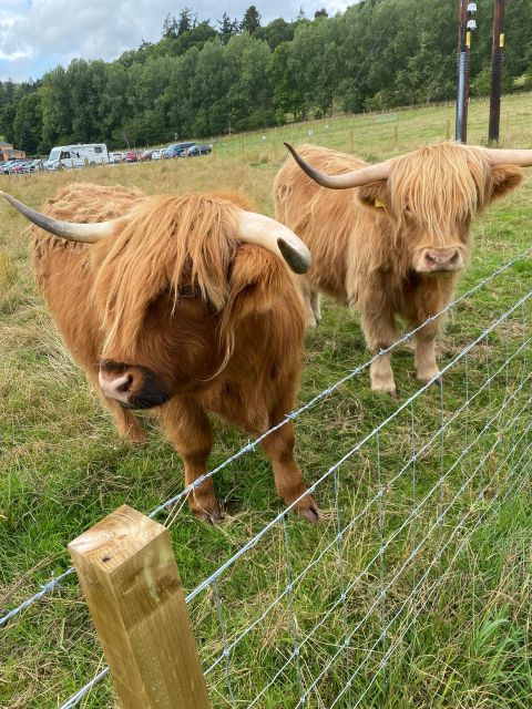 NORTH HIGHLAND TOUR, DUNROBIN CASTLE & MORE FROM INVERGORDON - Why this makes sense from Invergordon Port