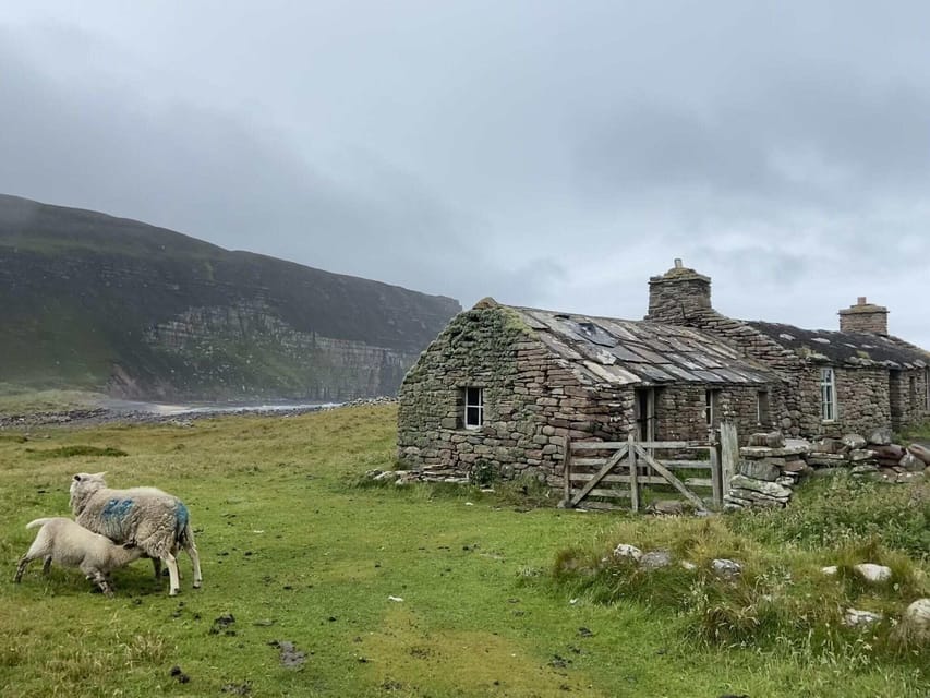 Orkney: Private Tour with Local Guide - The value of the flexible schedule