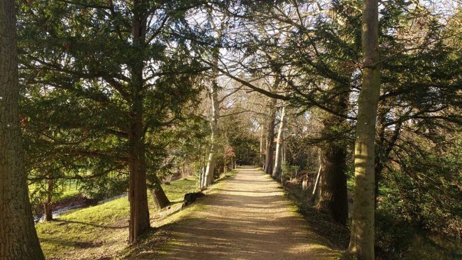Oxford: C.S. Lewis & J.R.R. Tolkien Guided Walking Tour - Starting at Broad Street, Oxford’s open-air history lesson