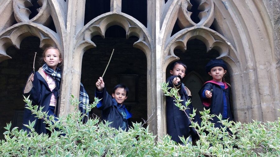 Oxford: Harry Potter Insights Divinity School Group Tour - Who should book this Oxford tour?