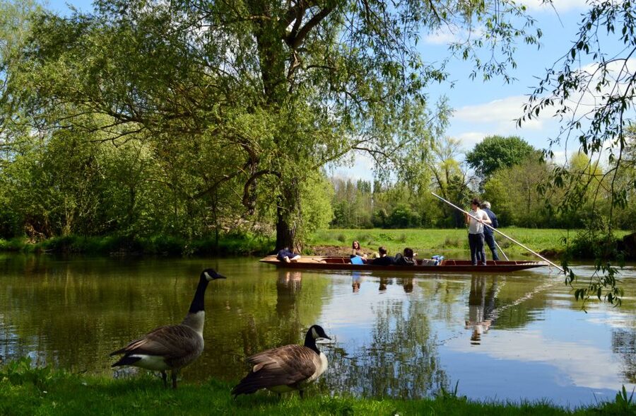 Oxford: Official University and City Walking Tour - What you actually see inside the colleges