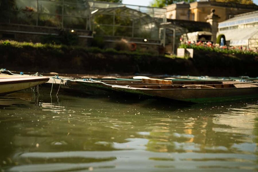 Oxford: Punting Tour on the River Cherwell - Why a student guide changes the experience