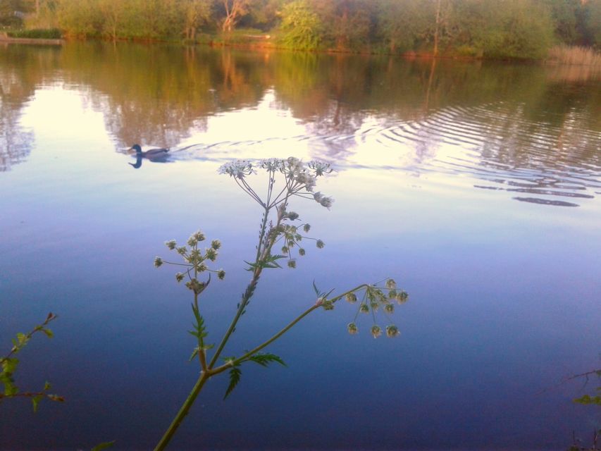 Oxford: River Cruise and Walking Tour to Iffley Village - Practical details that make the day easier