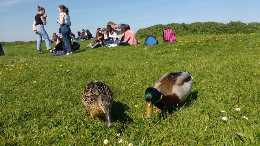 Oxford: River Cruise and Walking Tour to Iffley Village - Is the $168 price good value?