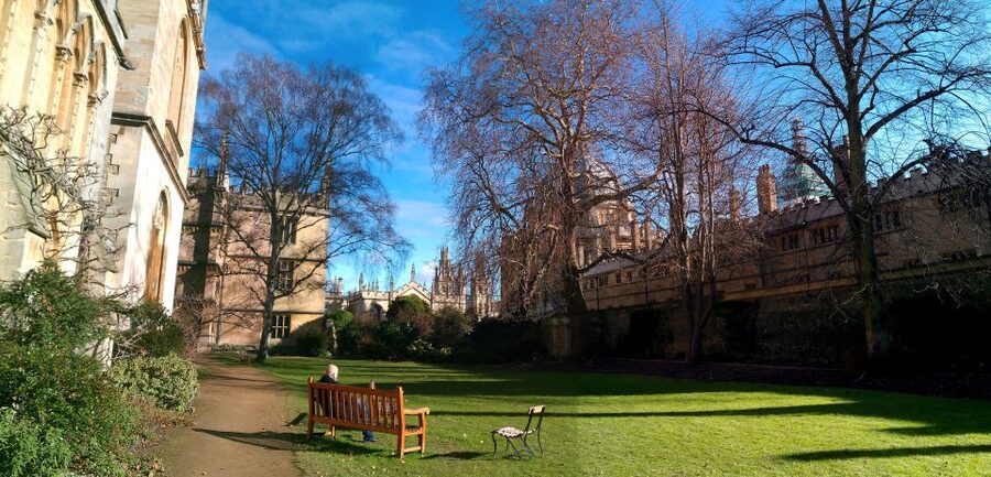 Oxford: University Tour for Prospective Students - The Bodleian, Christ Church, and other limits