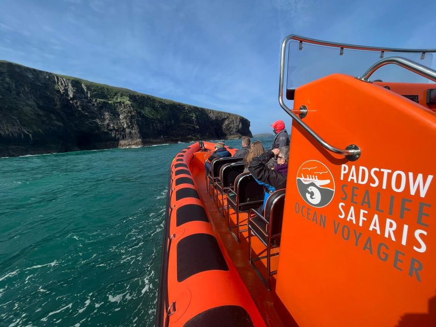 Padstow: Guided RIB Sealife Safari - Is $60 good value?