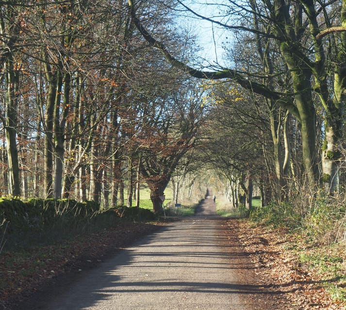 Peak District Highlights eBike Tour - Guided riding with Mike
