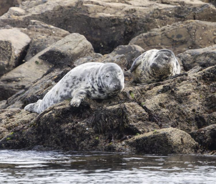 Penzance: Land's End Boat Tour with Wildlife Guides - Porthcurno, the Minack Theatre, and Fishing Villages