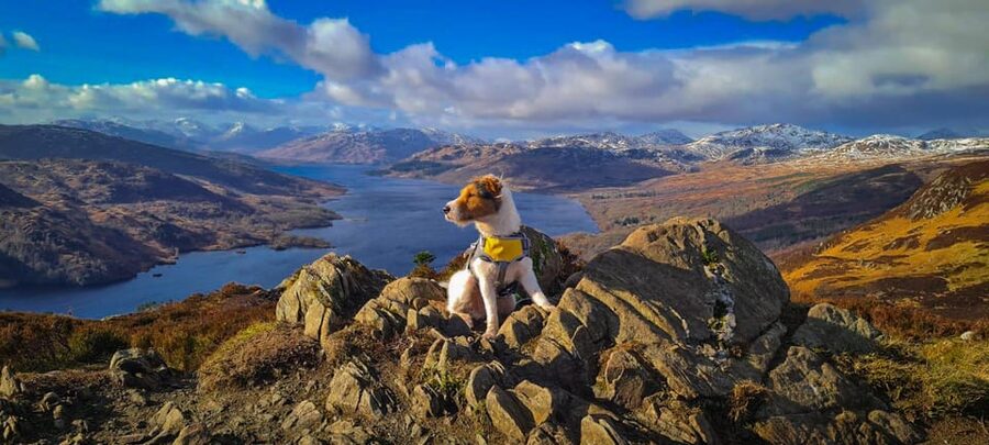 Private Tour of Highlands, Lochs & Castles from Edinburgh - What the guides add to the experience
