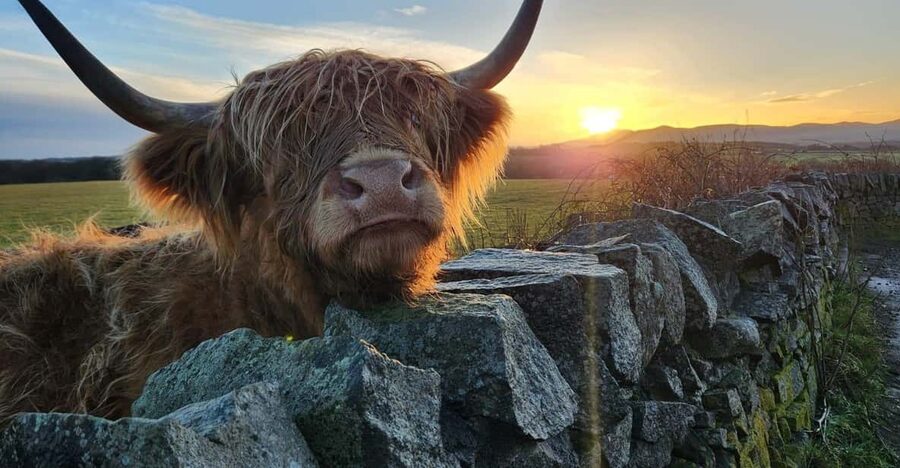 Private Tour of Highlands, Lochs & Castles from Edinburgh - Rannoch Moor and Loch Tulla
