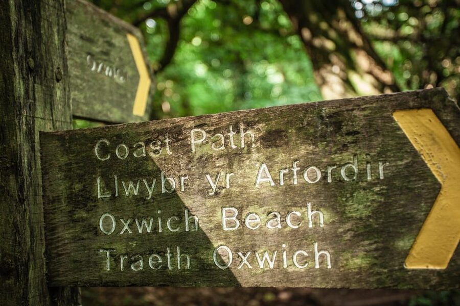 Private Tour: The Gower - Mumbles, Three Cliffs & Worms Head - Key points to know before booking