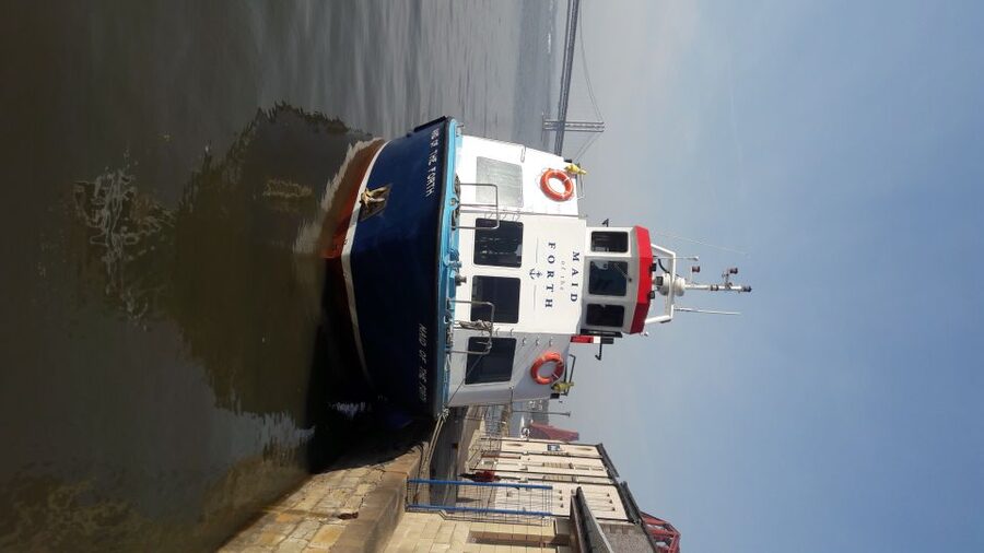 Queensferry: Maid of the Forth 1.5-Hour Sightseeing Cruise - Wildlife watching without false promises