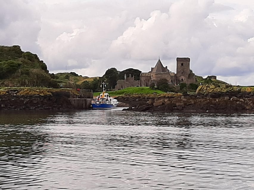 Queensferry: Sightseeing Cruise to Inchcolm Island - Wildlife around Haystack and the Firth of Forth