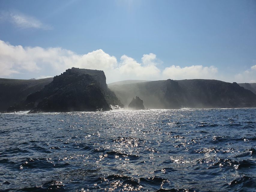 Rounding Cornwall Boat Trip Experience. (Departing Hayle) - What the crew adds to the experience