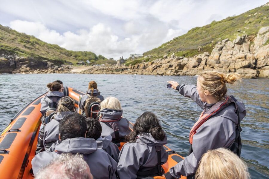 Rounding Cornwall Boat Trip Experience. (Departing Penzance) - Wildlife, guides, and the human side of the trip