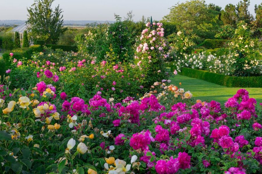 Royal Horticultural Society: Hyde Hall Garden Ticket - Birds, ponds, and the living side of Hyde Hall