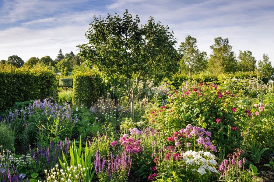 Royal Horticultural Society: Hyde Hall Garden Ticket - Lunch, picnics, and the useful central facilities
