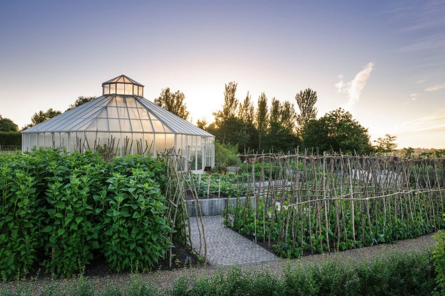 Royal Horticultural Society: Hyde Hall Garden Ticket - The first walk: lawns, groves, and wide Essex views