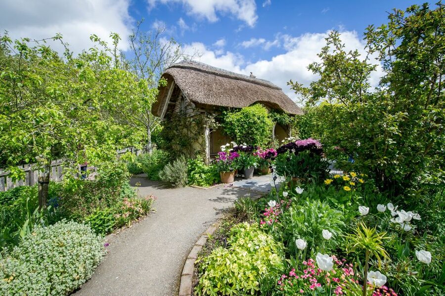 Royal Horticultural Society: Rosemoor Garden Ticket - The Hot Garden Brings the Day’s Strongest Color