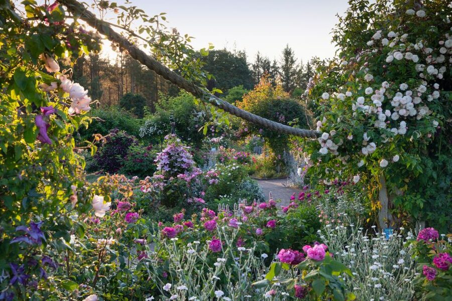 Royal Horticultural Society: Rosemoor Garden Ticket - Should You Book RHS Garden Rosemoor?
