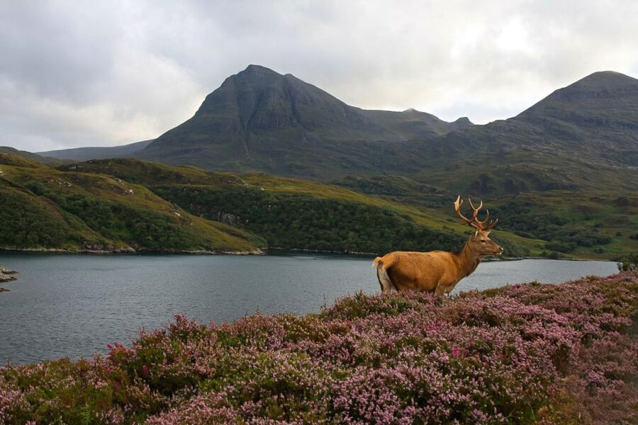 Scotland: Orkney and Northern Coast 5-Day Tour - Day 1: Castles, glens, and Loch Ness