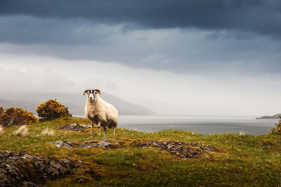 Scotland: West Highlands, Mull and Iona 4-Day Tour - Day 1: From Edinburgh to Tobermory by way of Rannoch Moor