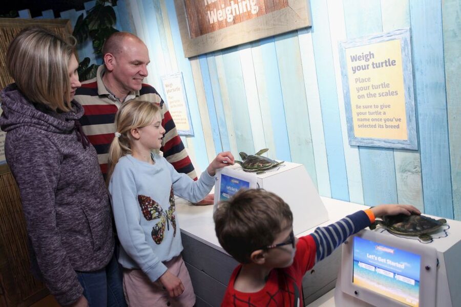 SEA LIFE Blackpool Entrance Ticket - Turtle Rescue gives children a reason to stop