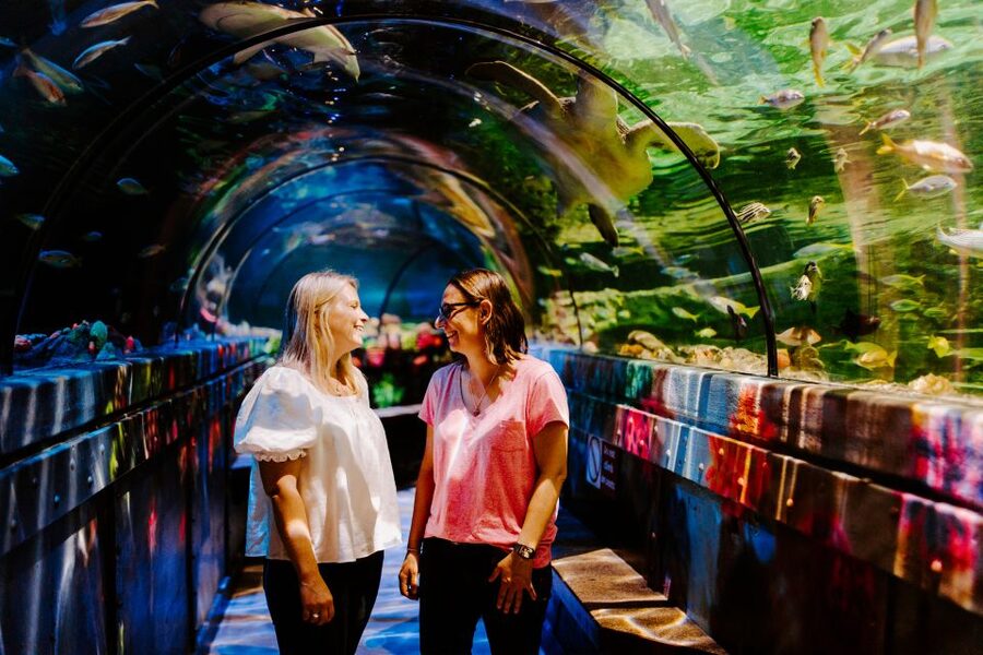 Sea Life Brighton Admission Ticket - Key points to know before visiting