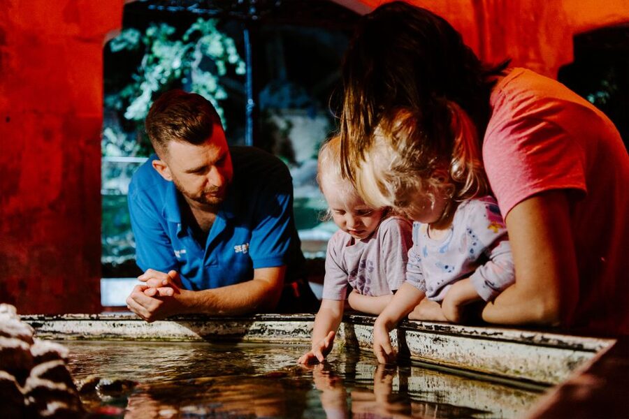 Sea Life Brighton Admission Ticket - Rainforest Adventure changes the temperature