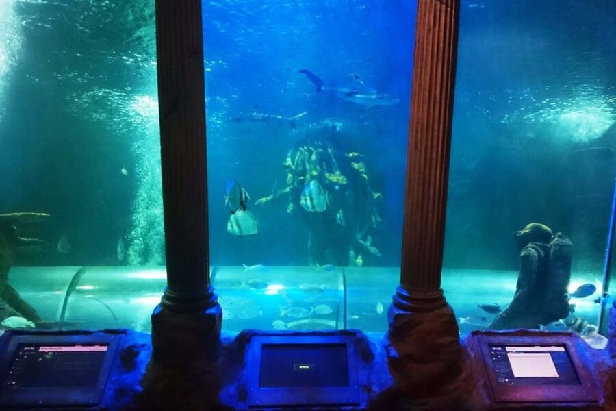 SEA LIFE Great Yarmouth - Is $26.94 a fair price?